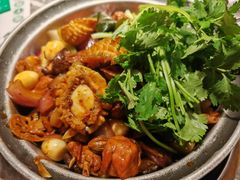 -禄婶鸡煲·打边炉