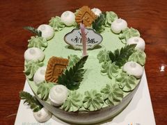 -维尔纳斯·生日蛋糕动物奶油冰淇淋蛋糕(人大店)