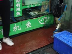 -全乐鱼馆·淳牌有机鱼直营店