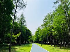 -昆山城市生态森林公园