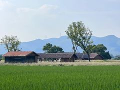 -良渚古城遗址公园