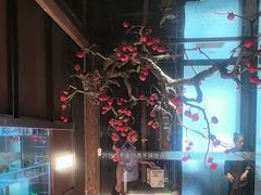 -苏淮景·苏闽融创菜·海鲜(原空港井河轩店)