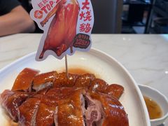 -滋粥楼·顺德菜(番禺广场总店)