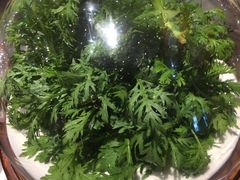 -楚鲜·汉正街一号(天河店)