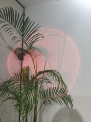 -张小野·专业半永久纹眉