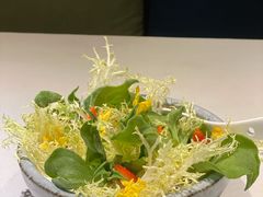 蔬菜色拉-春暖花开(西溪店)