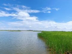 -呼兰河口湿地公园
