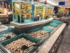 -初色海鲜自助(万丰路店)