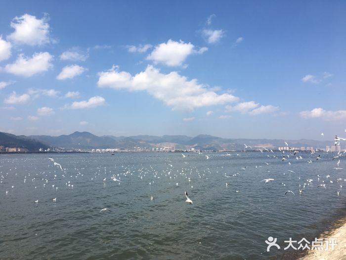 海埂公园图片