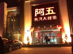 -阿五黄河大鲤鱼(英协路店)