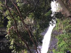 -夏霖九天银瀑风景区