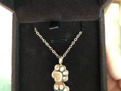 -彩虹桥宠物火化殡葬善终服务(金乐大厦店)