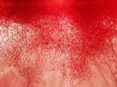 -六本木新城展望台(东京城市景观)