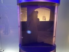 -朝阳公园游乐园