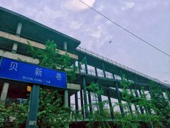-扫雪煮茶(西村店)