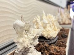 -游龙石文化科普馆