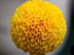 -天津市河西区金子小一一儿童军校幼儿园