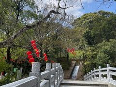 -广州市石门国家森林公园