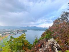 -大岭沟猕猴桃谷风景区