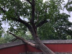 -阳台山自然风景区