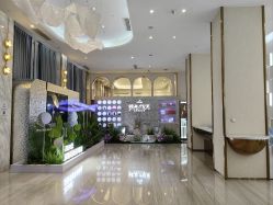 -深圳美莱医疗美容医院