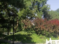 -丰台花园