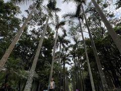 -华南国家植物园-售票处