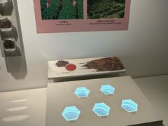 -中国茶叶博物馆(双峰馆区)