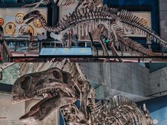 -湖南省地质博物馆