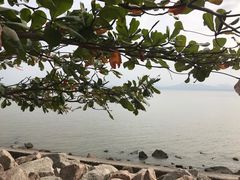 -深圳湾公园(南山区)