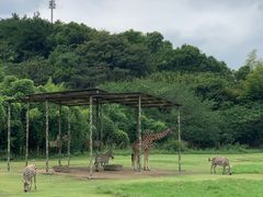 -宁波野生动物园
