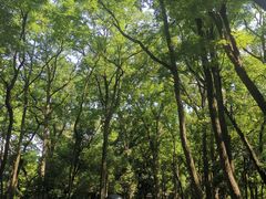 -扬州瘦西湖船宴