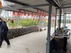 -小六农家乐(崇明西沙湿地店)