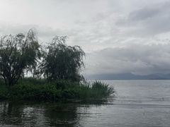 -洱海月湿地公园