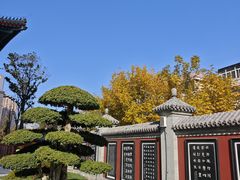 -天津大悲禅院