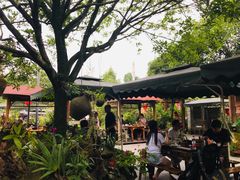 -青城甲(青城山店)