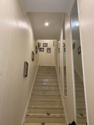 -静博士·养生养颜