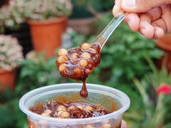 -潘玉麟糖粥