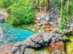 -大鹅岛绿色生态美食园
