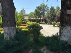 -张掖大佛寺景区