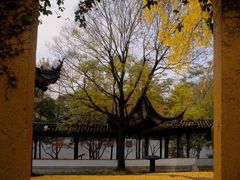 -苏州上方山国家森林公园