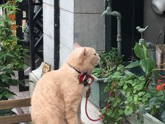 -黎黄陂路街头博物馆
