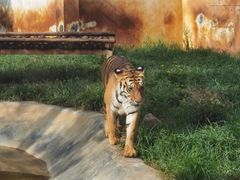 -昆明动物园