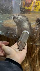 -Zoolung Zoolung动物主题公园(海信广场店)