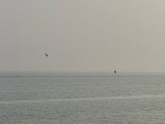 -贡湖湾湿地公园