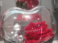 -ROSEONLY诺誓(国际广场购物中心店)