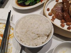 -眉州东坡(民族园店)