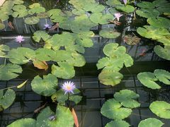 -国家植物园南园