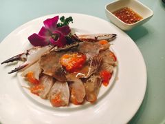-骏莱海鲜鱼港(五角场店)