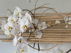 -荷兰布尔玛国际花艺学院